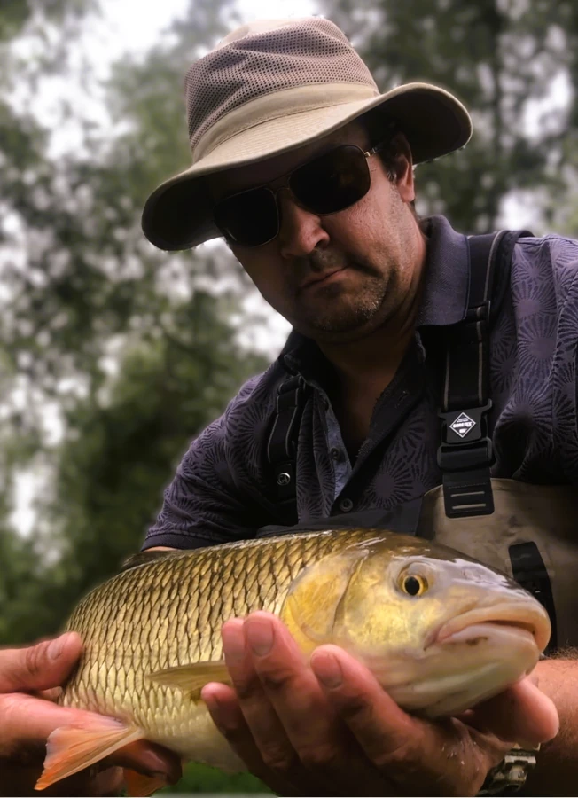 Chevesne à la mouche