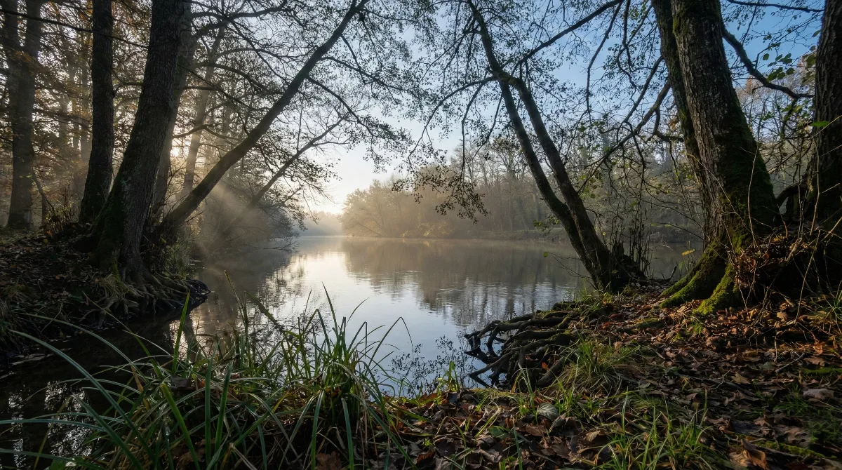 Le cher près de Vierzon